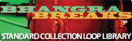 Bhangra Breaks: South Asian Beats & Bass