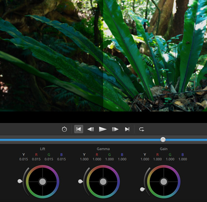 Color correction