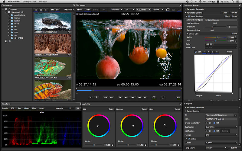 Sony Creative Software RAW Viewer